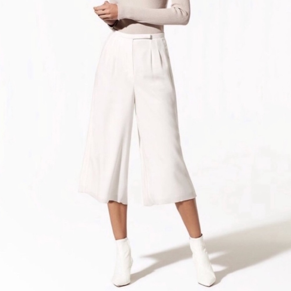 Aritzia Babaton Lazarus Culottes